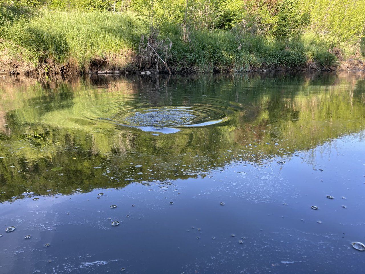 Lit�vka u Ml�nsk�ho potoka