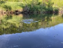 Litávka u Mlýnského potoka