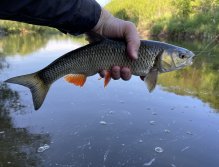 Litávka u Mlýnského potoka