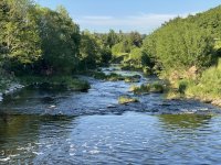 Litvka u Mlnskho potoka