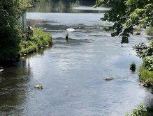Vltava 29 P