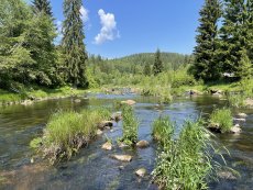Vltava 29 P - fotogalerie
