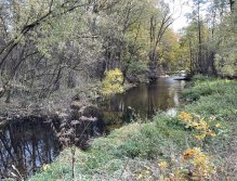 Úhlava v Janovicích nad Úhlavou