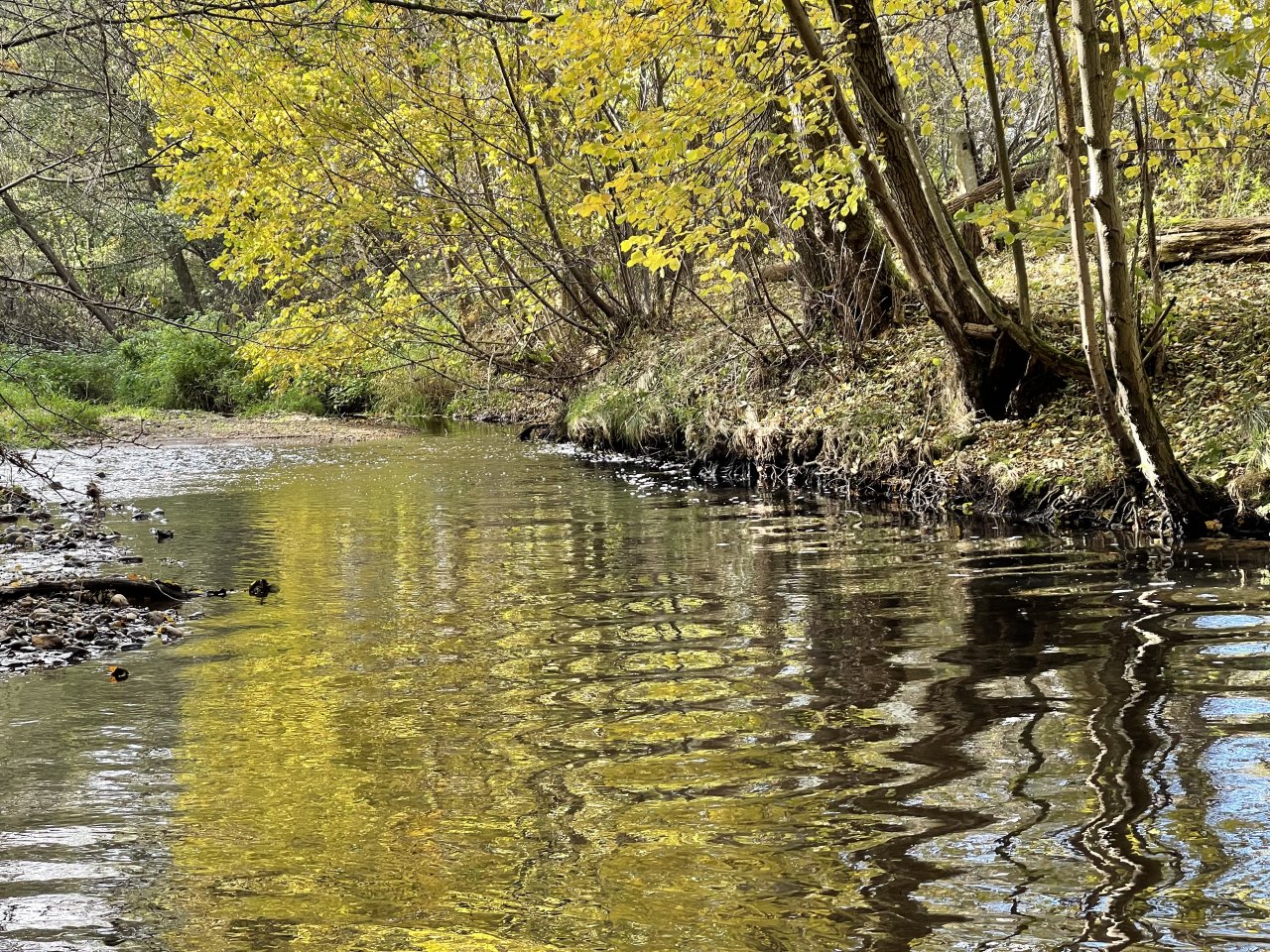 �hlava v Janovic�ch nad �hlavou