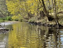 Úhlava v Janovicích nad Úhlavou