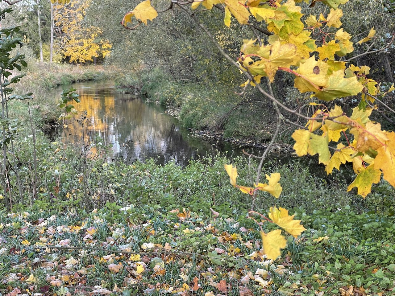 �hlava v Janovic�ch nad �hlavou