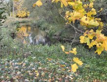 Úhlava v Janovicích nad Úhlavou