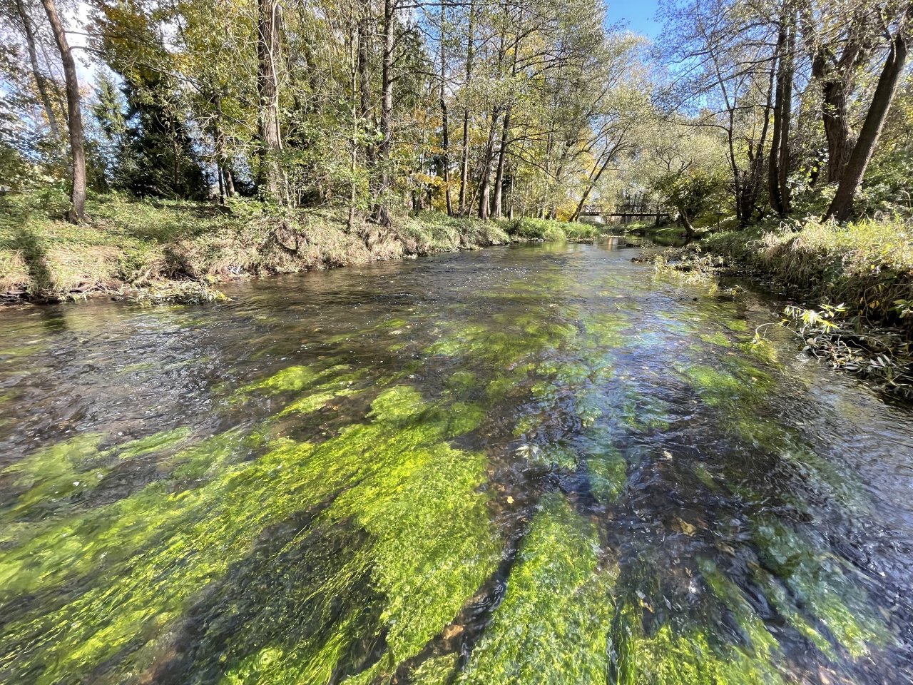 �hlava v Janovic�ch nad �hlavou