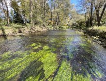 Úhlava v Janovicích nad Úhlavou