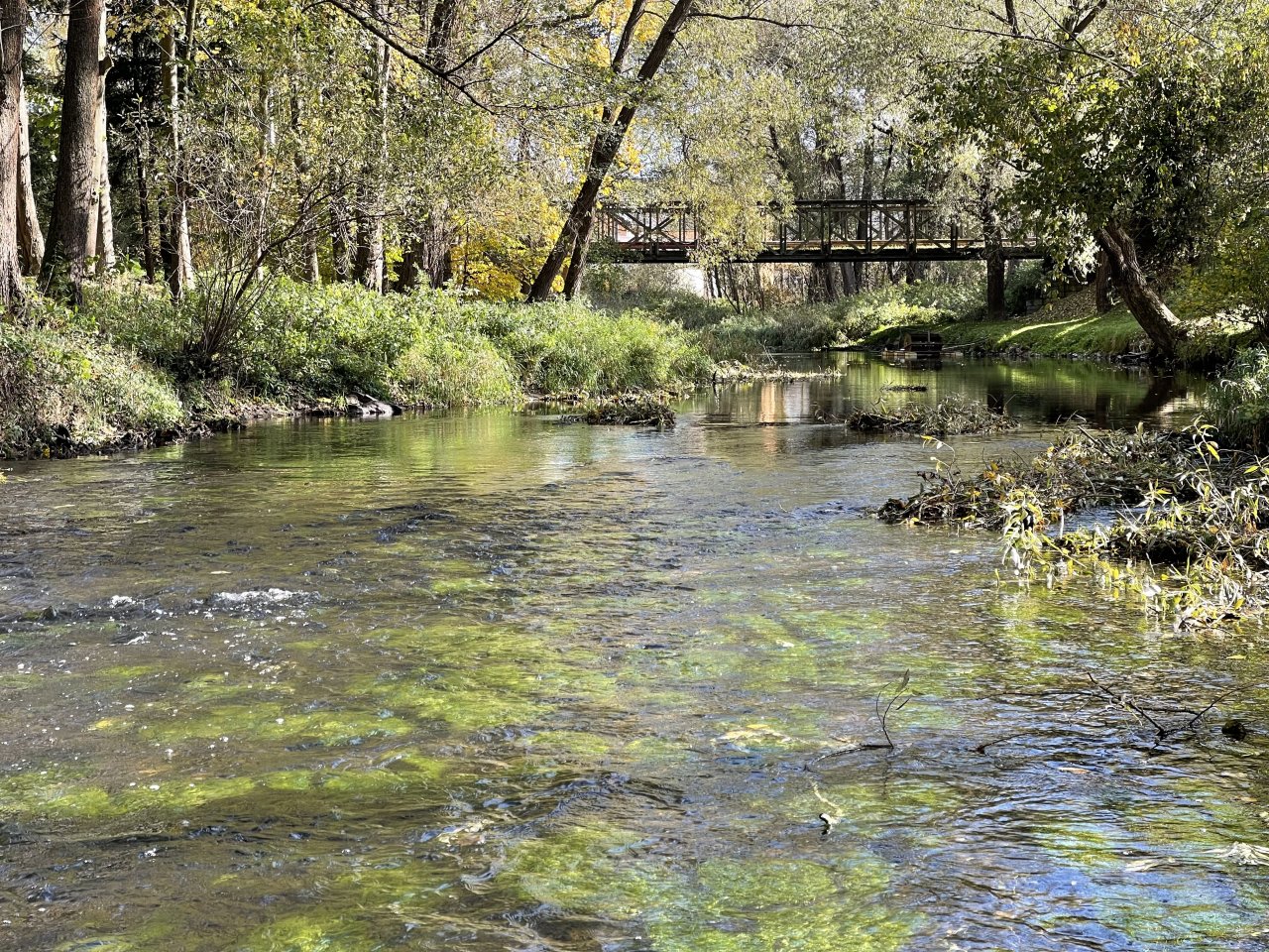 �hlava v Janovic�ch nad �hlavou