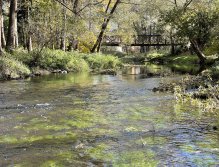 Úhlava v Janovicích nad Úhlavou
