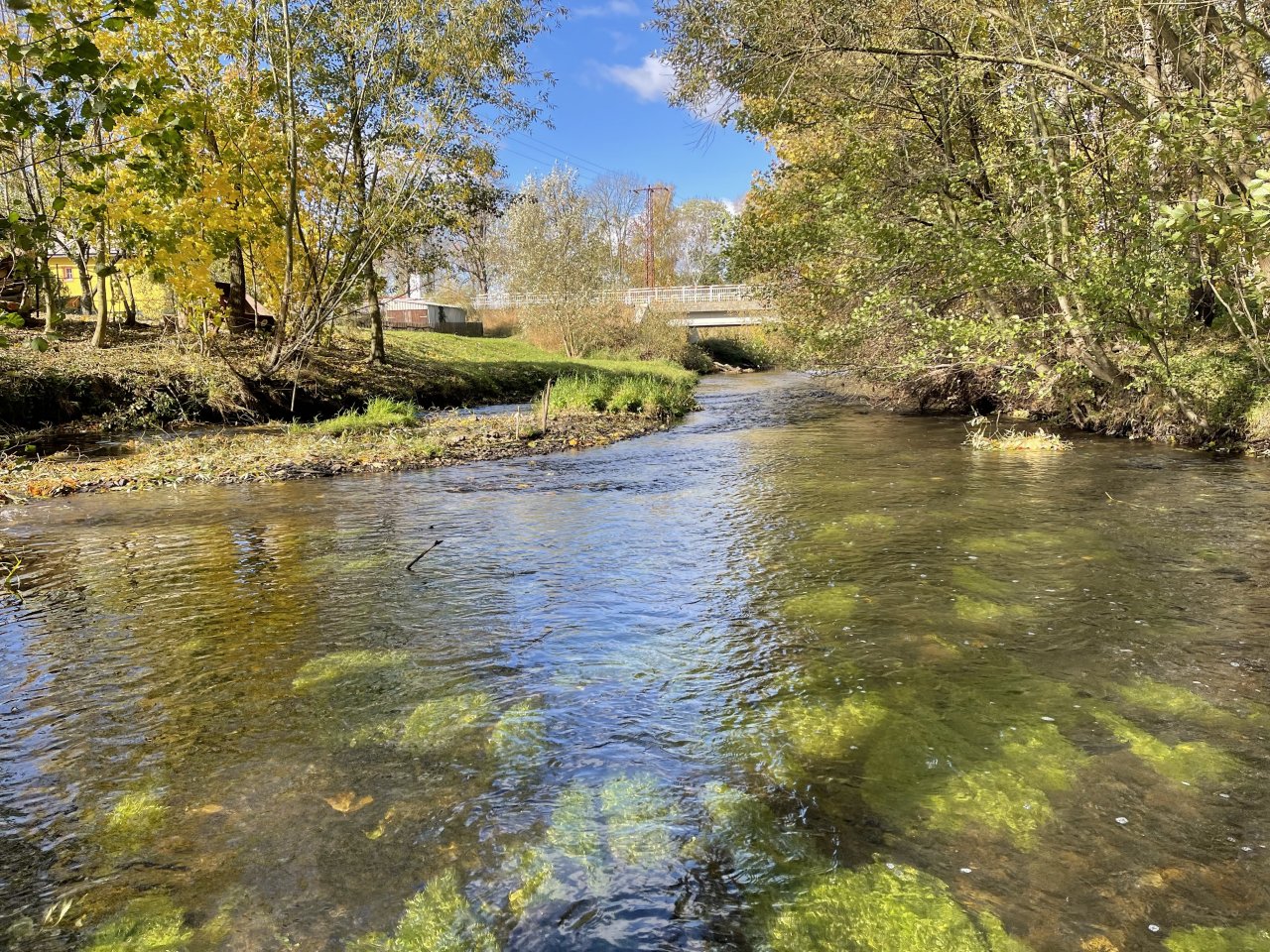 �hlava v Janovic�ch nad �hlavou