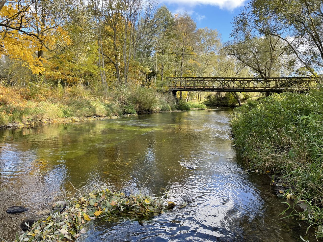 �hlava v Janovic�ch nad �hlavou
