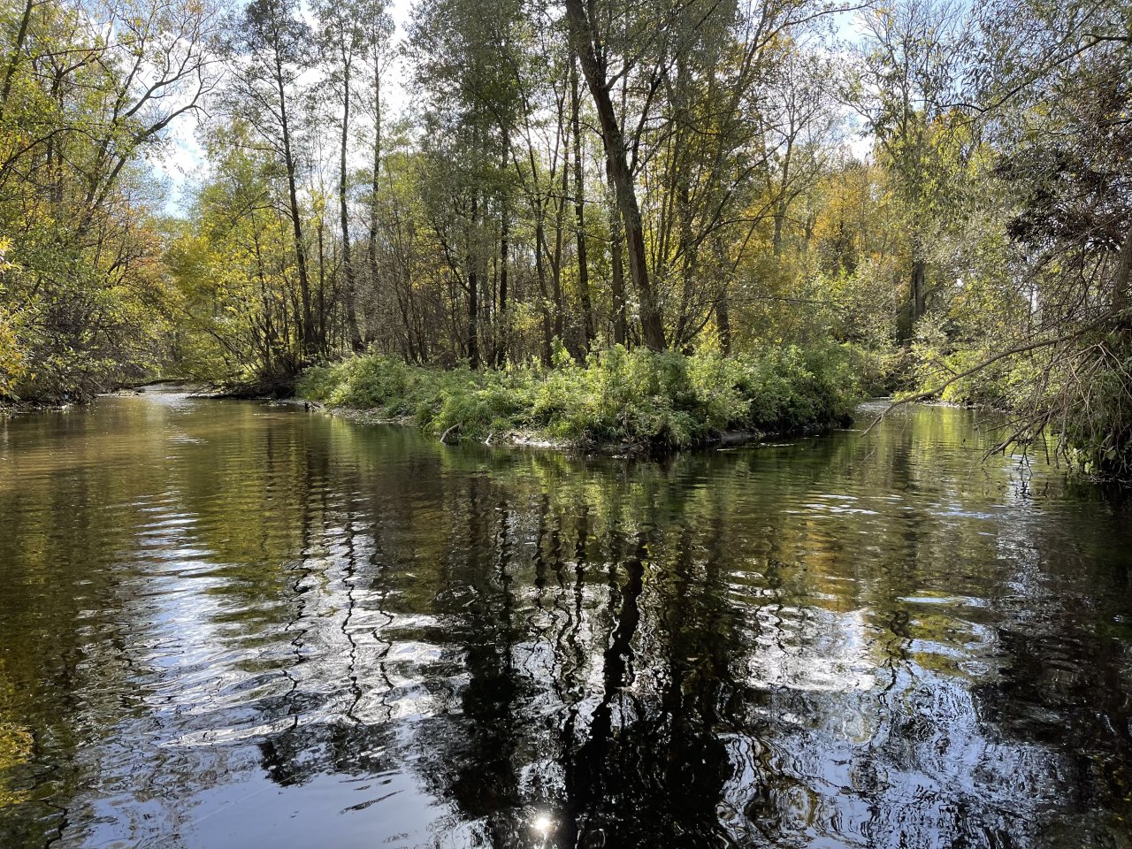 �hlava v Janovic�ch nad �hlavou