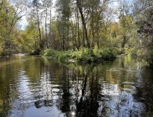 Úhlava v Janovicích nad Úhlavou