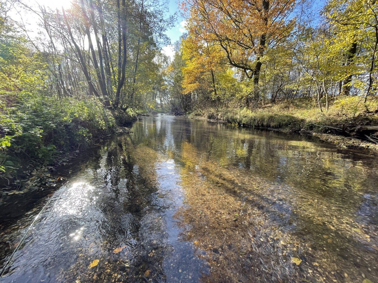 �hlava v Janovic�ch nad �hlavou
