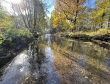 Úhlava v Janovicích nad Úhlavou