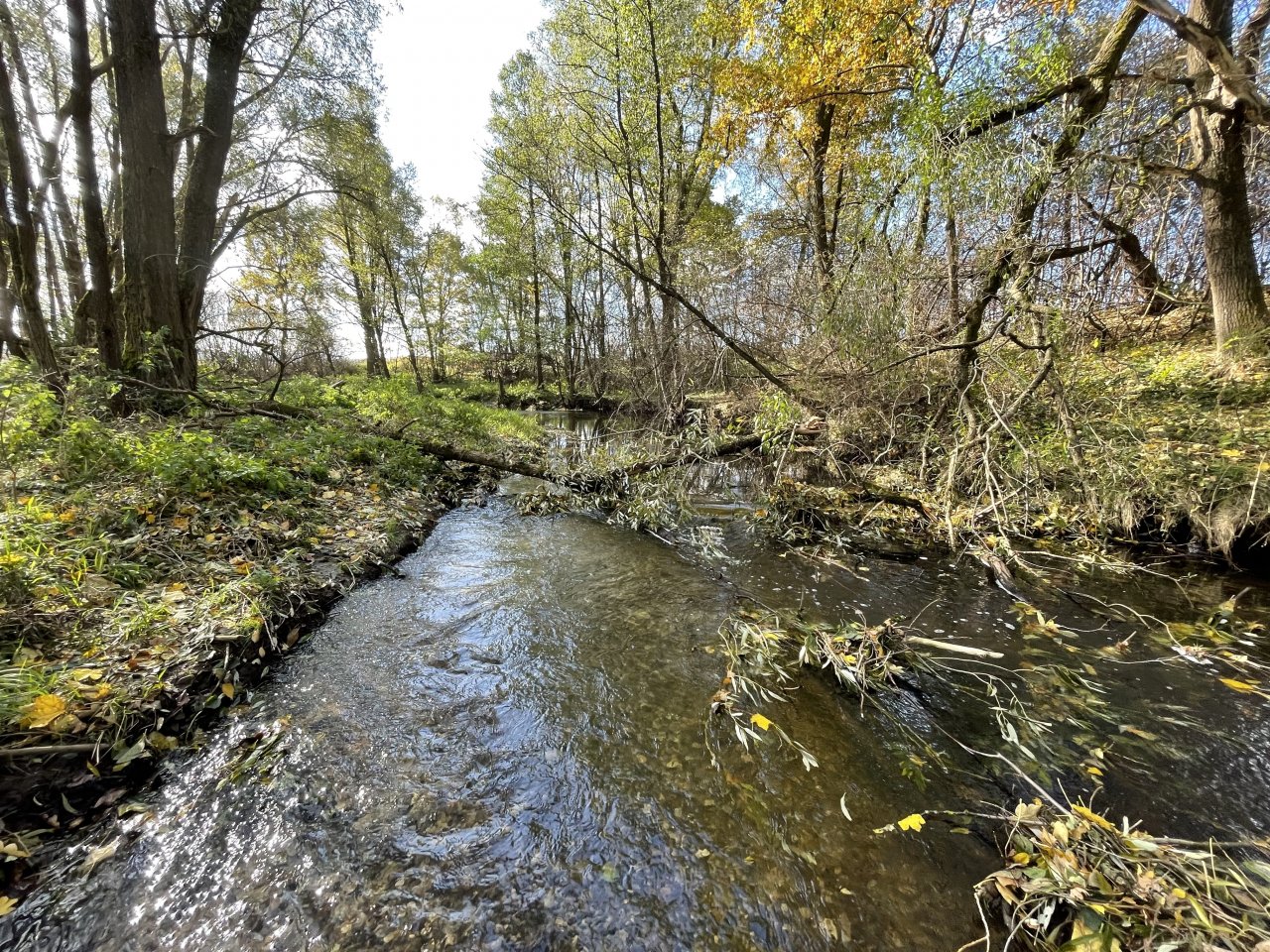 �hlava v Janovic�ch nad �hlavou