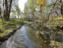 Úhlava v Janovicích nad Úhlavou