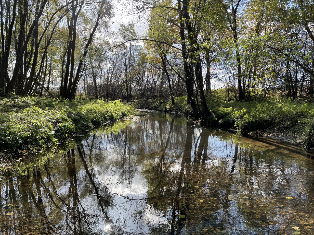 �hlava v Janovic�ch nad �hlavou