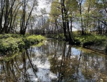 Úhlava v Janovicích nad Úhlavou