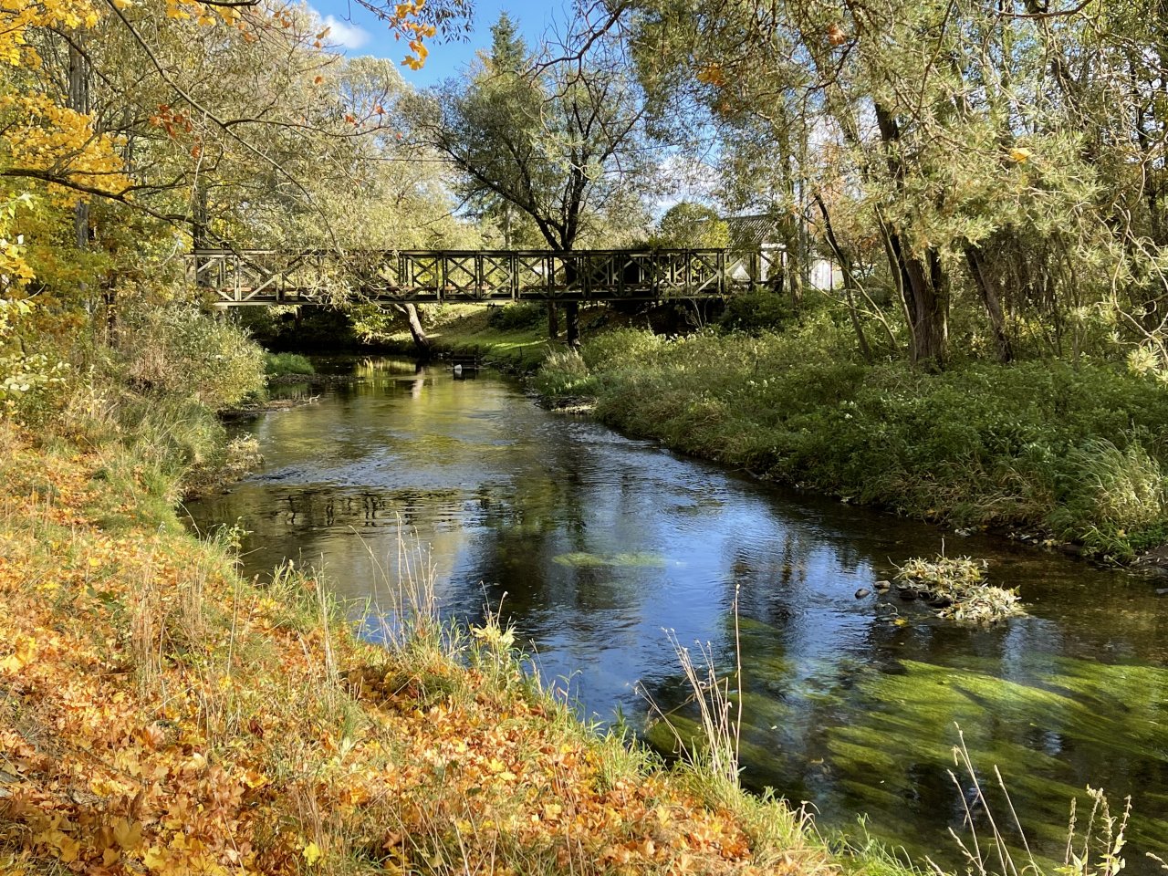 �hlava v Janovic�ch nad �hlavou