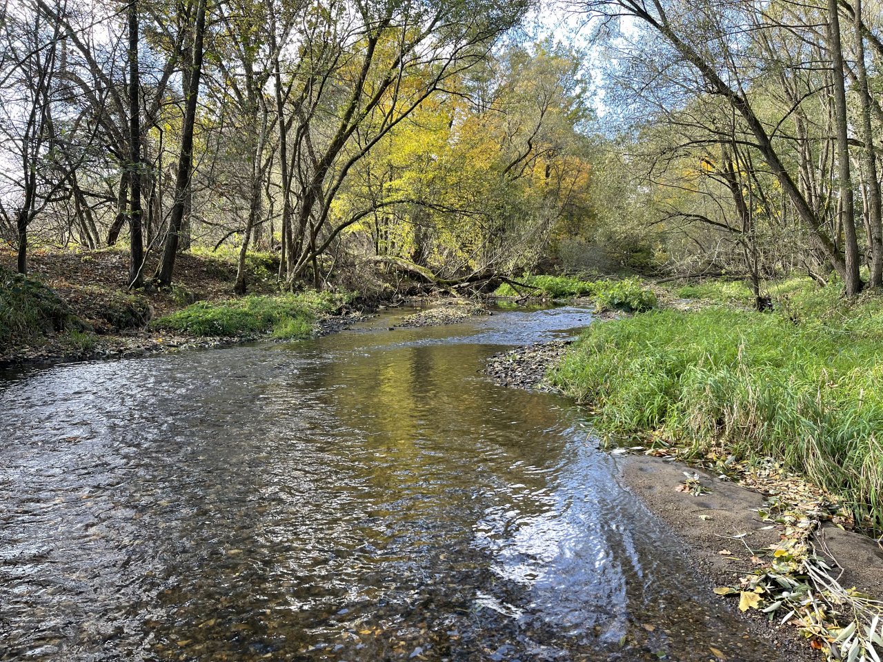 �hlava v Janovic�ch nad �hlavou