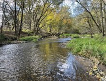 Úhlava v Janovicích nad Úhlavou