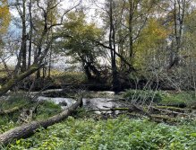 Úhlava v Janovicích nad Úhlavou