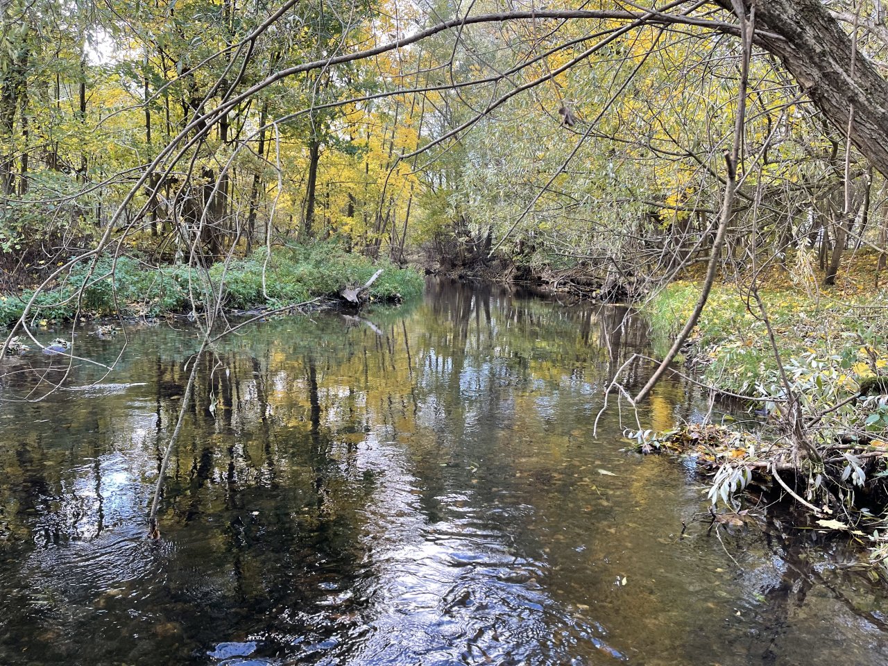 �hlava v Janovic�ch nad �hlavou