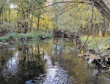 Úhlava v Janovicích nad Úhlavou