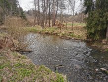 Rybářský revír 423 015 - Hejlovka 1 P