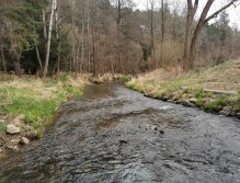 Rybářský revír 423 015 - Hejlovka 1 P