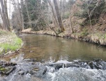 Rybářský revír 423 015 - Hejlovka 1 P