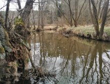 Rybářský revír 423 015 - Hejlovka 1 P