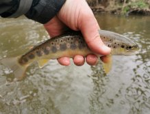 Rybářský revír 423 015 - Hejlovka 1 P