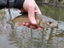 Rybářský revír 423 015 - Hejlovka 1 P