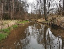 Rybářský revír 423 015 - Hejlovka 1 P