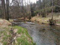 Rybsk revr 423 015 - Hejlovka 1 P