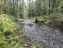 Kačák nad Hostimí