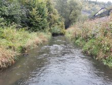 Kačák nad Hostimí