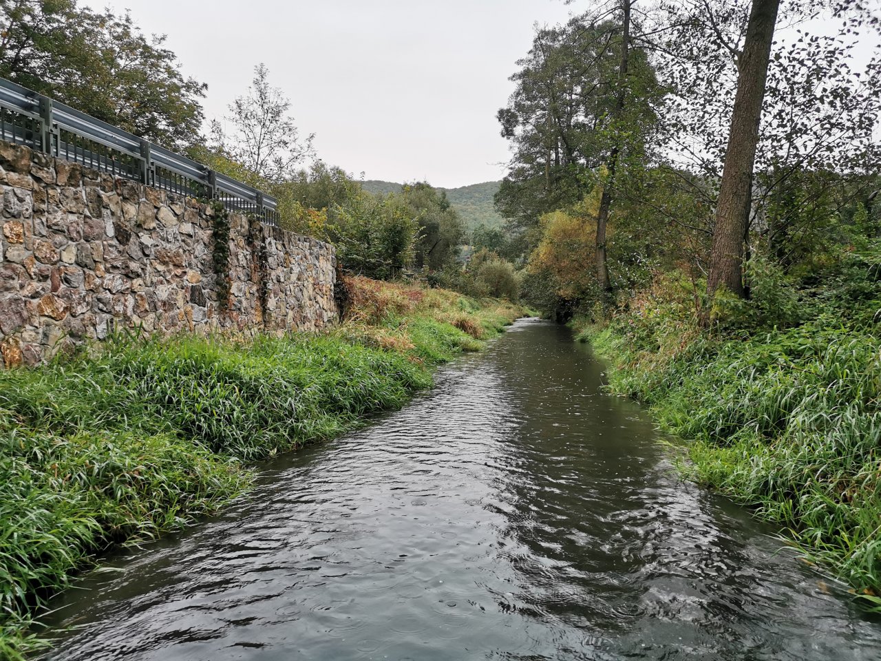 Ka��k nad Hostim�