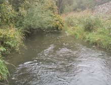 Kačák nad Hostimí