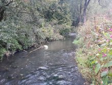 Kačák nad Hostimí