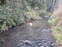 Kačák nad Hostimí