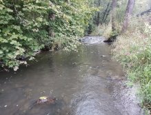 Kačák nad Hostimí