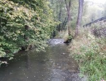 Kačák nad Hostimí