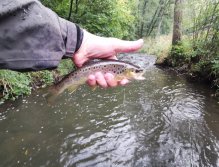 Kačák nad Hostimí