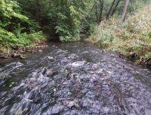 Kačák nad Hostimí