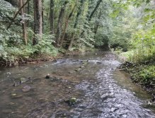 Kačák nad Hostimí